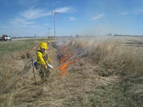 Starting the first burn this spring on Hwy 75 southwest of Crookston. A drip torch is used to light close to the downwind edge while crew members on foot, on an ATV, and in an engine stand by in case the fire creeps into the adjacent bean stubble.